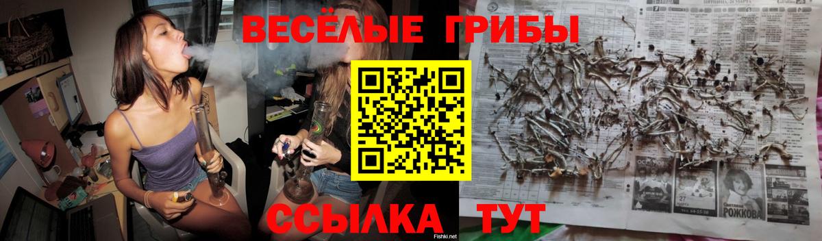 Псилоцибиновые грибы Psilocybe Донской